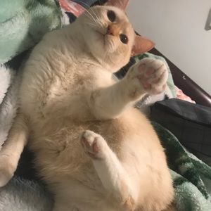 Meet your Posher, Susana